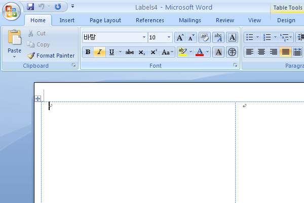MS WORD 2007