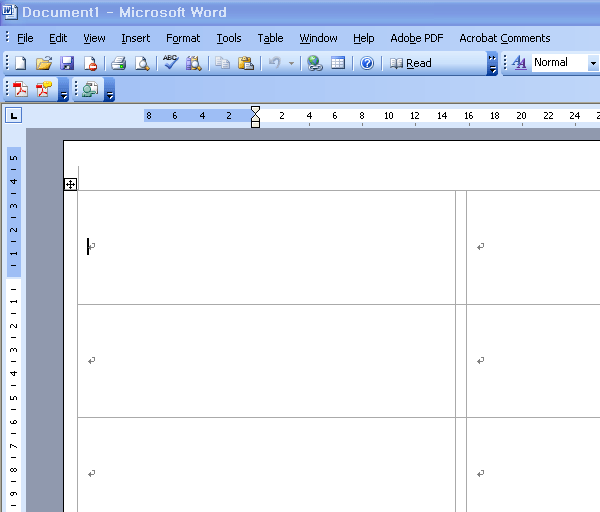 MS WORD 2003